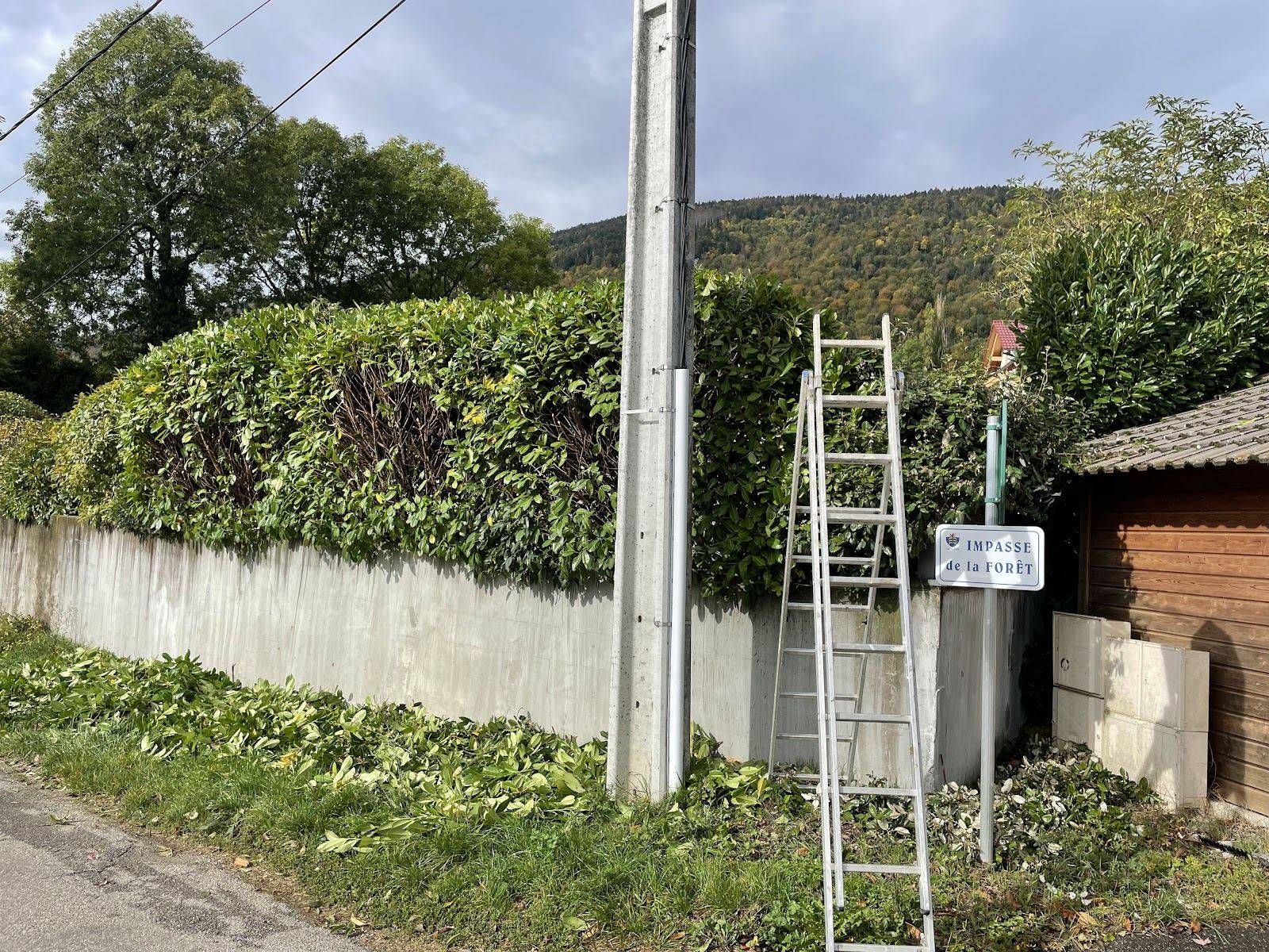 Haie taillée le long d'un mur de clôture, échelle posée contre le poteau